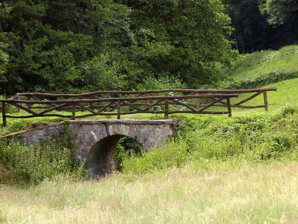 Wildbach Appartement Ober-Hambach Eksteriør bilde